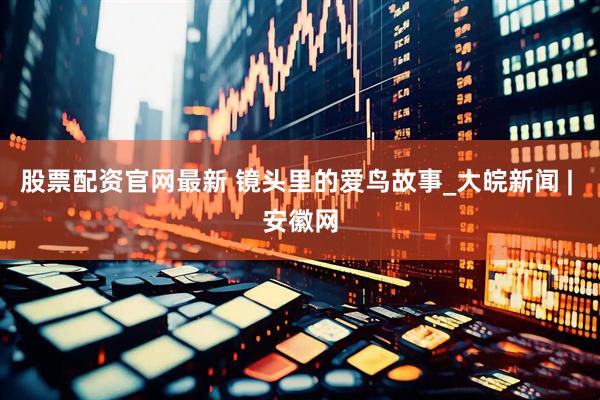 股票配资官网最新 镜头里的爱鸟故事_大皖新闻 | 安徽网